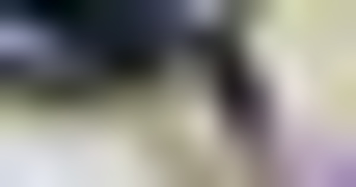 Dreame na sejmu IFA 2025 predstavlja inovacije za pametno čiščenje in avtomatizacijo doma