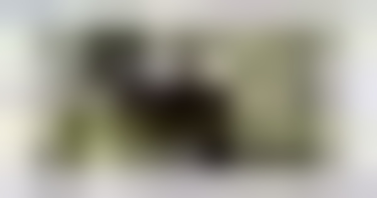 Zelensky: aumentare pressione su Putin per porre fine alla guerra