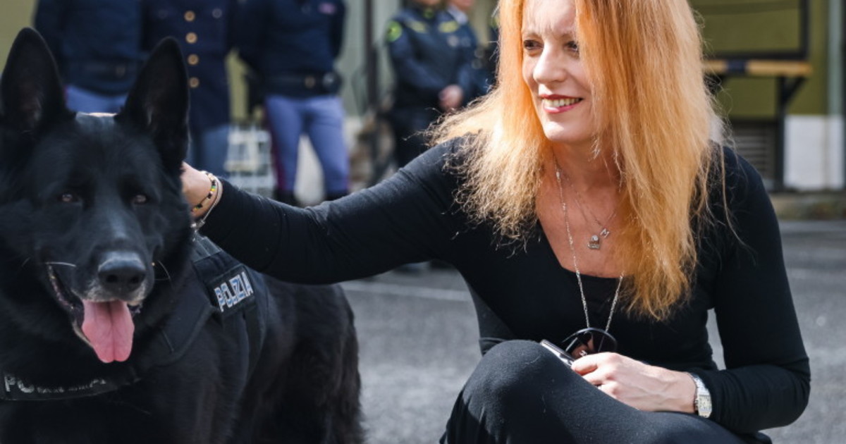 animali la legge brambilla funziona vittoria di civilt224