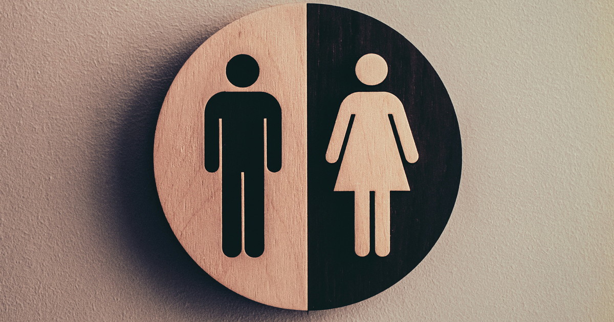 Ci mancava il patriarcato grammaticale: "Femminile anche per i maschi" Ci mancava il patriarcato grammaticale: "Femminile anche per i maschi"