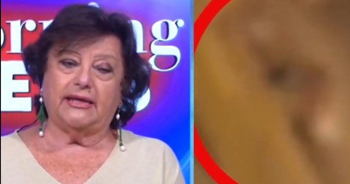 sanremo ragazzo pestato dal branco matone mi auguro che buttino la chiave