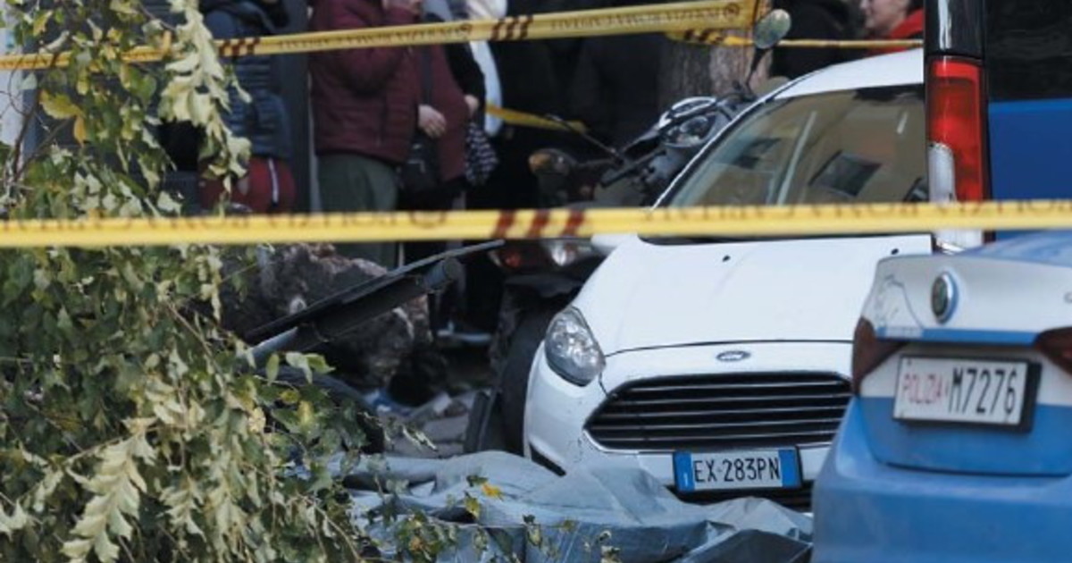 Alberi e rami crollati a Roma: in un anno 614 casi, un morto e 23 feriti Alberi e rami crollati a Roma: in un anno 614 casi, un morto e 23 feriti