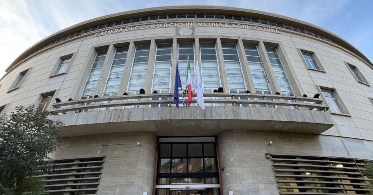 comunicato stampa secondo trimestre 2025 nuove aperture rafforzano il tessuto imprenditoriale in provincia di cosenza