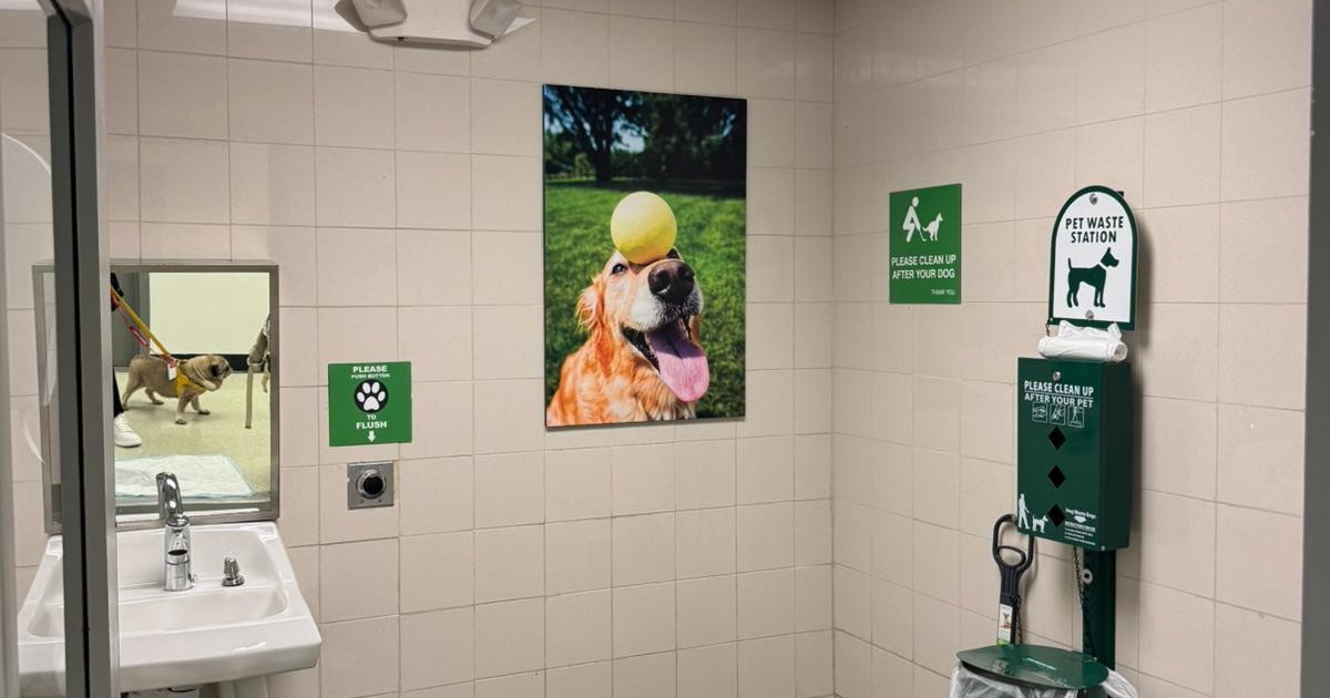 Biancofiore sugli animali in cabina: bene Salvini, Ita e Enac, misura già presente sui treni Biancofiore sugli animali in cabina: bene Salvini, Ita e Enac, misura già presente sui treni