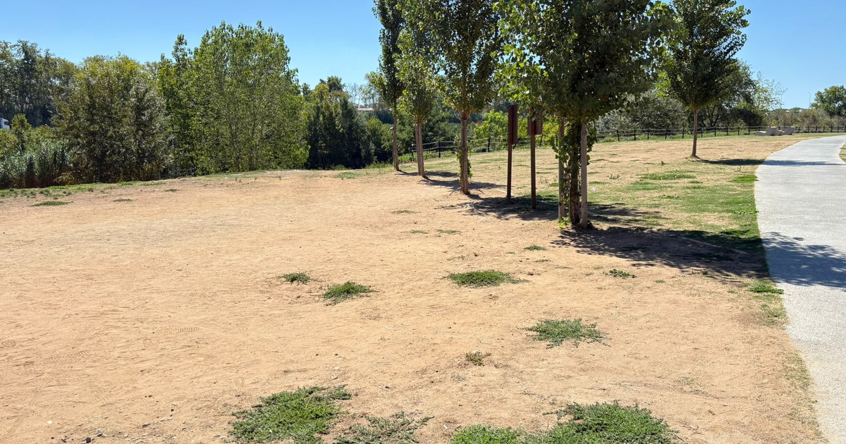 Parco Tevere Marconi, da polmone di quartiere a terra desolata. Palma: Non siamo a Oslo, i prati vanno annaffiati