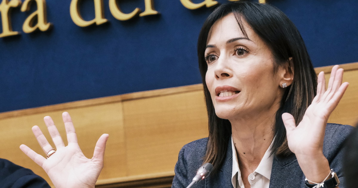Sciopero Gaza, Carfagna: "Violenze inaccettabili, solidarietà alle forze dell