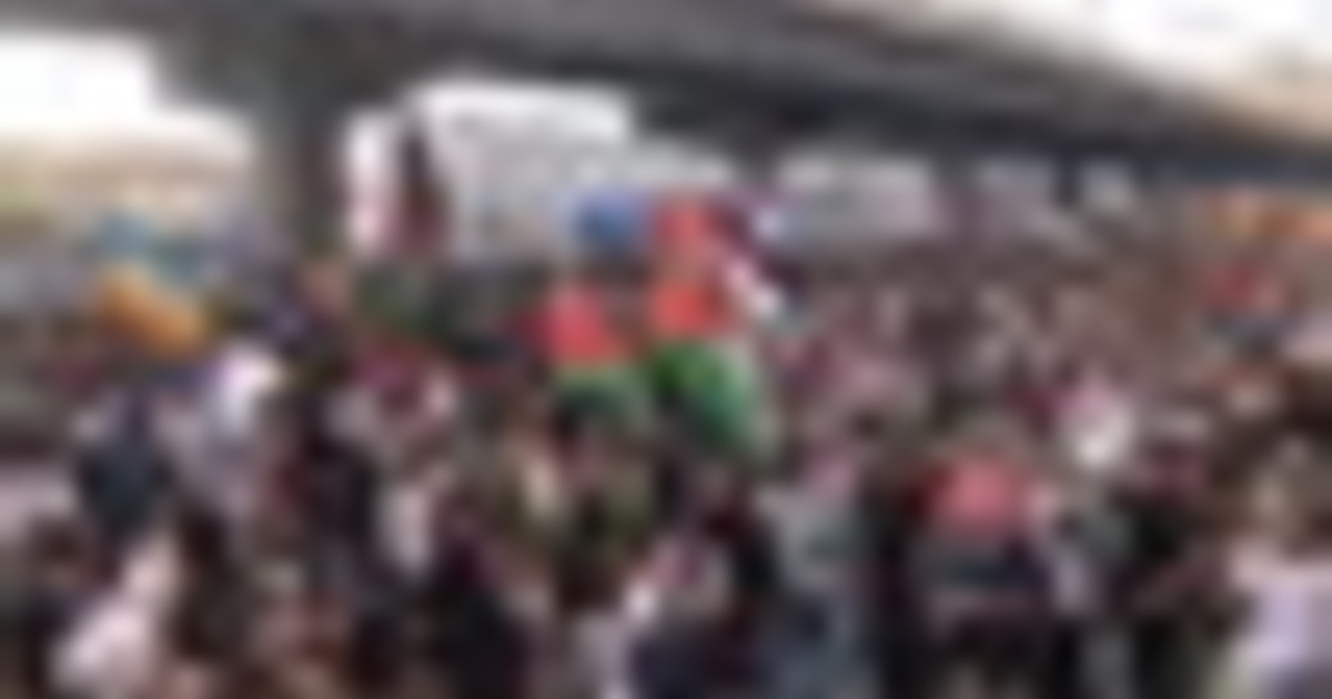 Sciopero per Gaza, il corteo a Genova, Staccioli(Usb): è solo inizio