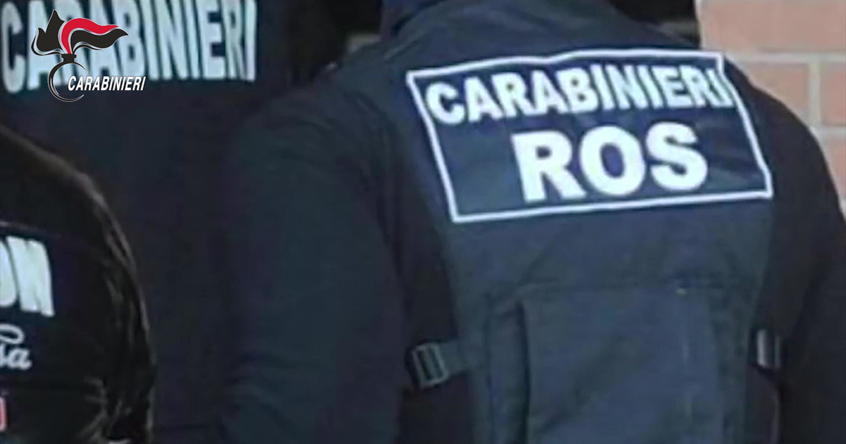 maxi operazione contro la cosca piromalli arrestato un superboss di 8216ndrangheta