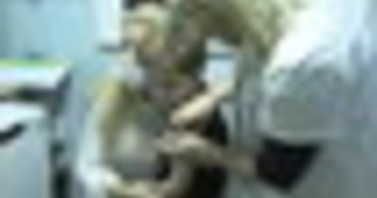 L'Oms a Trump: "I vaccini non causano l'autismo, salvano vite"