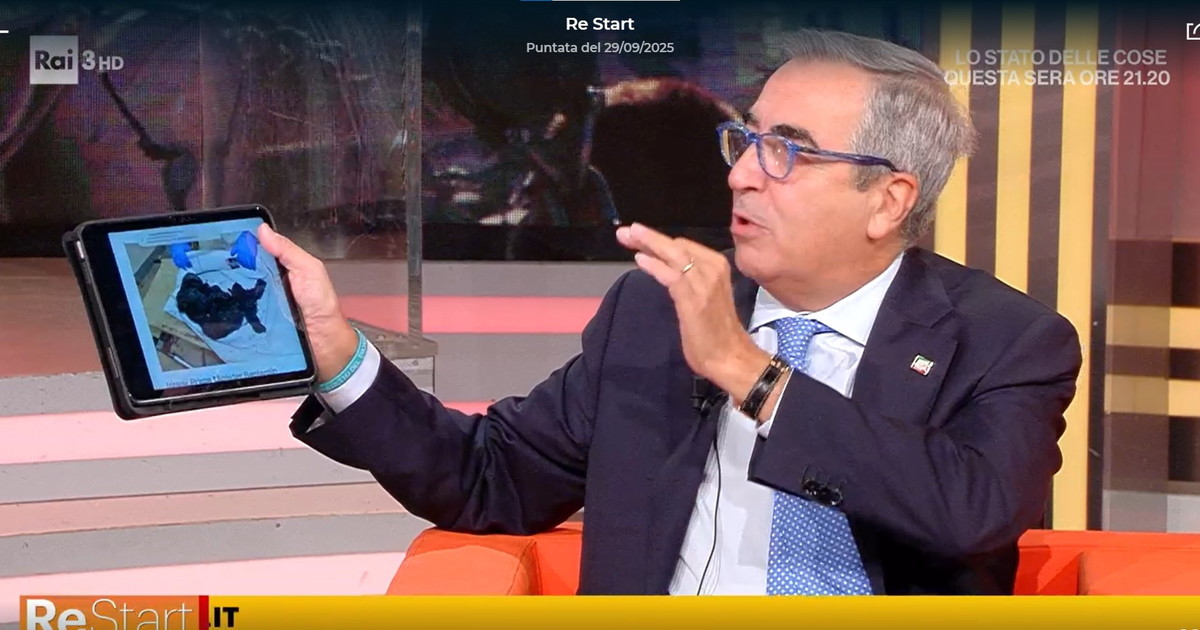 Gasparri sbugiarda la giornalista Goracci: "Negazionista sui bambini bruciati da Hamas il 7 ottobre"