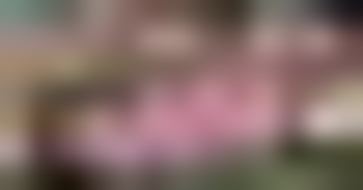 Le reazioni israeliane al piano di Trump: "Una ottima notizia"