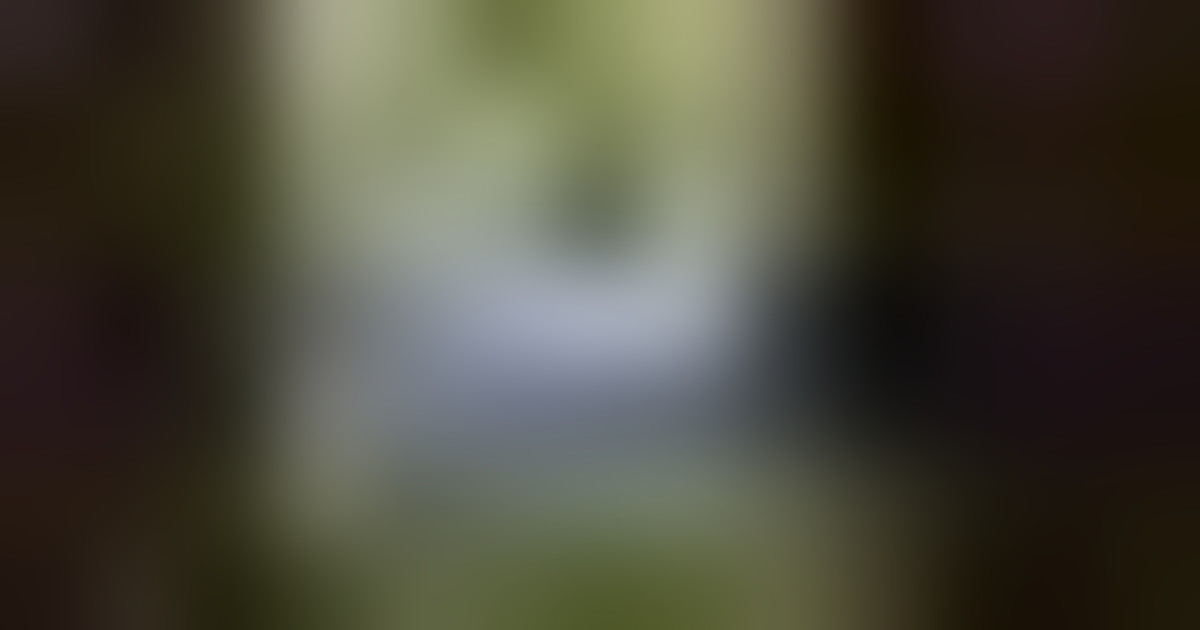 Il Qatar: Hamas studia il piano di Trump in modo responsabile