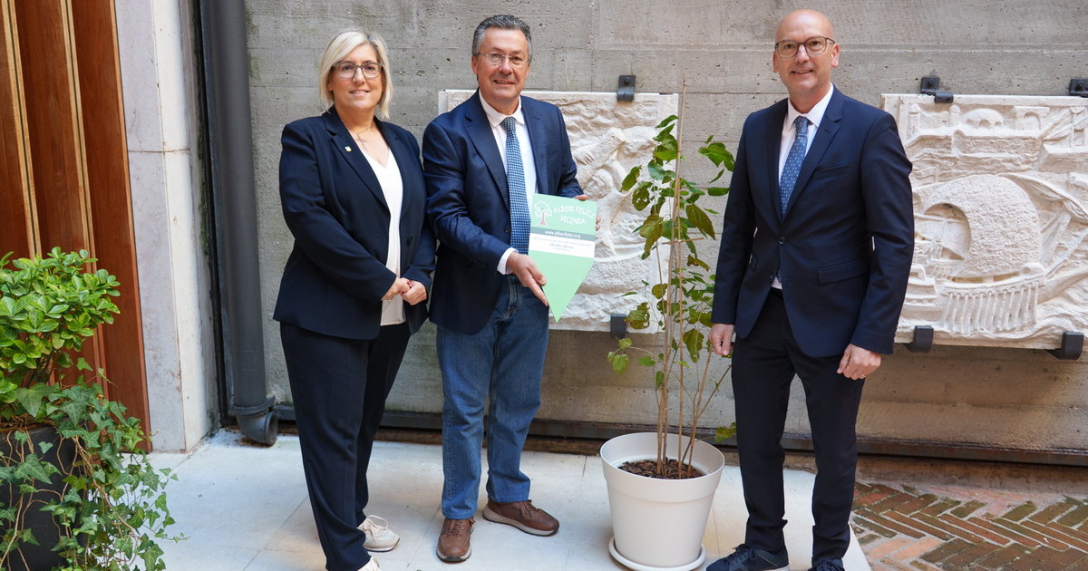 comunicato stampa crv maino e zecchinato lega lv compie un anno l associazione 8216alberi felici 