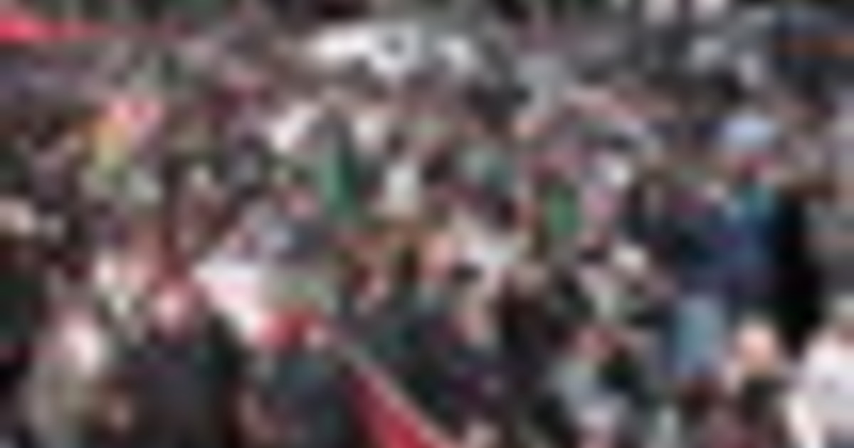 Manifestazione per Gaza a Parigi, sostegno al popolo palestinese