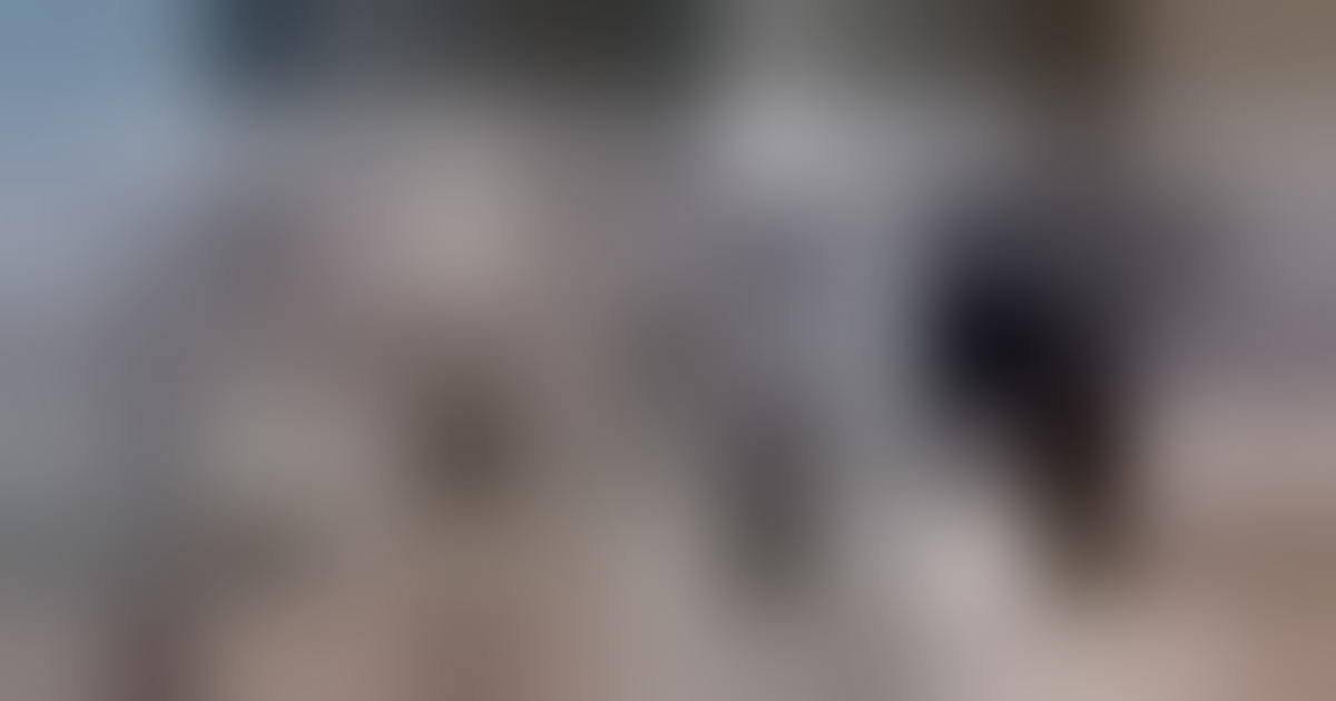 Due anni dal 7 ottobre, commemorazione sul sito del festival Nova