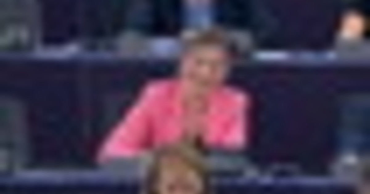 Ue, verso il divieto dei termini "hamburger" e "bistecca" vegetali