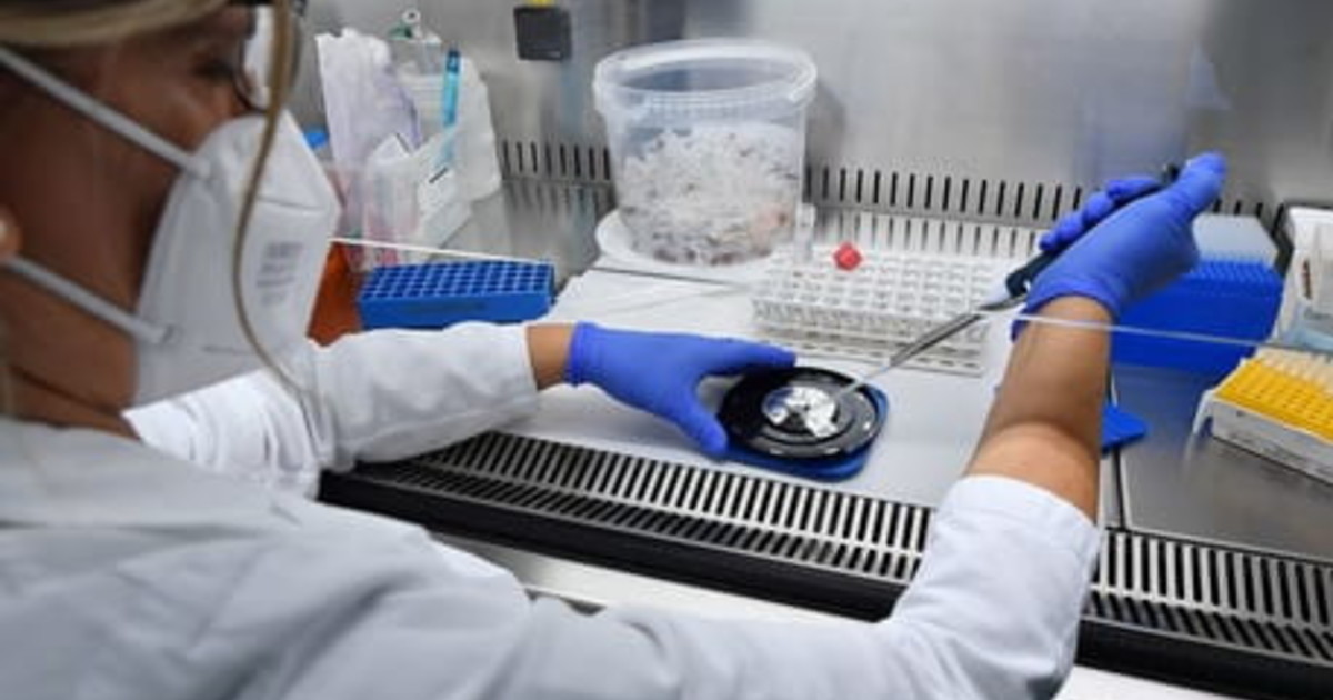 giorlandino uap analisi in farmacia nessuna tutela per i pazienti 232 deregulation non semplificazione