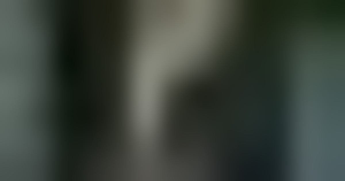 Melancolia distopica, il Nobel ungherese che studiava Marai