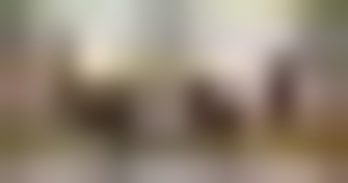 Putin priznal odgovornost Rusije za sestrelitev azerbajdžanskega letala in pojasnil vzrok