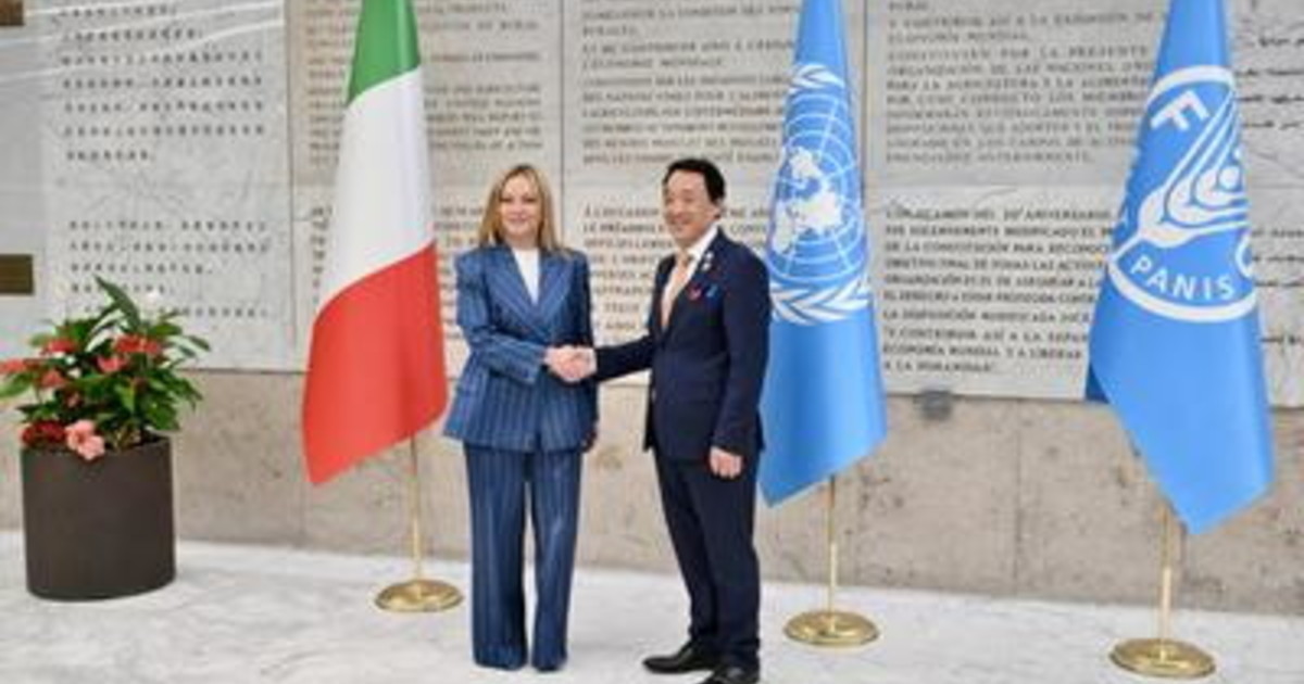 Fao, Meloni: "Italia in prima linea per aiuti". Tajani: "A Gaza 100 tonnellate di cibo" Fao, Meloni: "Italia in prima linea per aiuti". Tajani: "A Gaza 100 tonnellate di cibo"