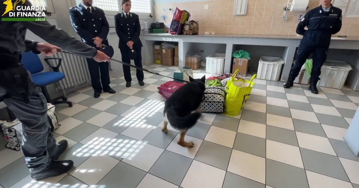 Lecce, maxi sequestro di droga al carcere "Borgo San Nicola"