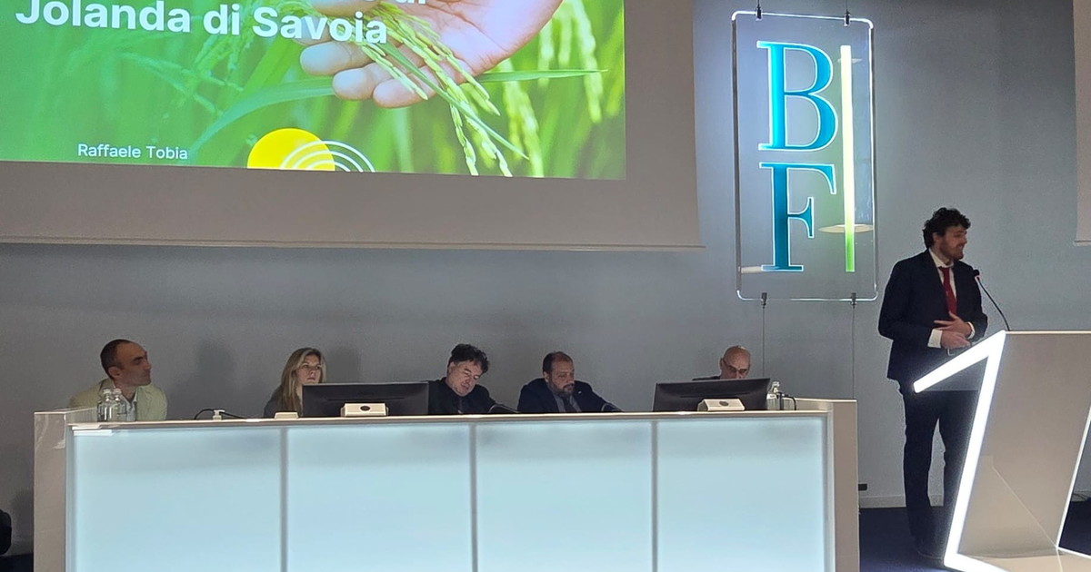 Unibo e BF Educational: conferimento del diploma di master universitario agli studenti della seconda edizione