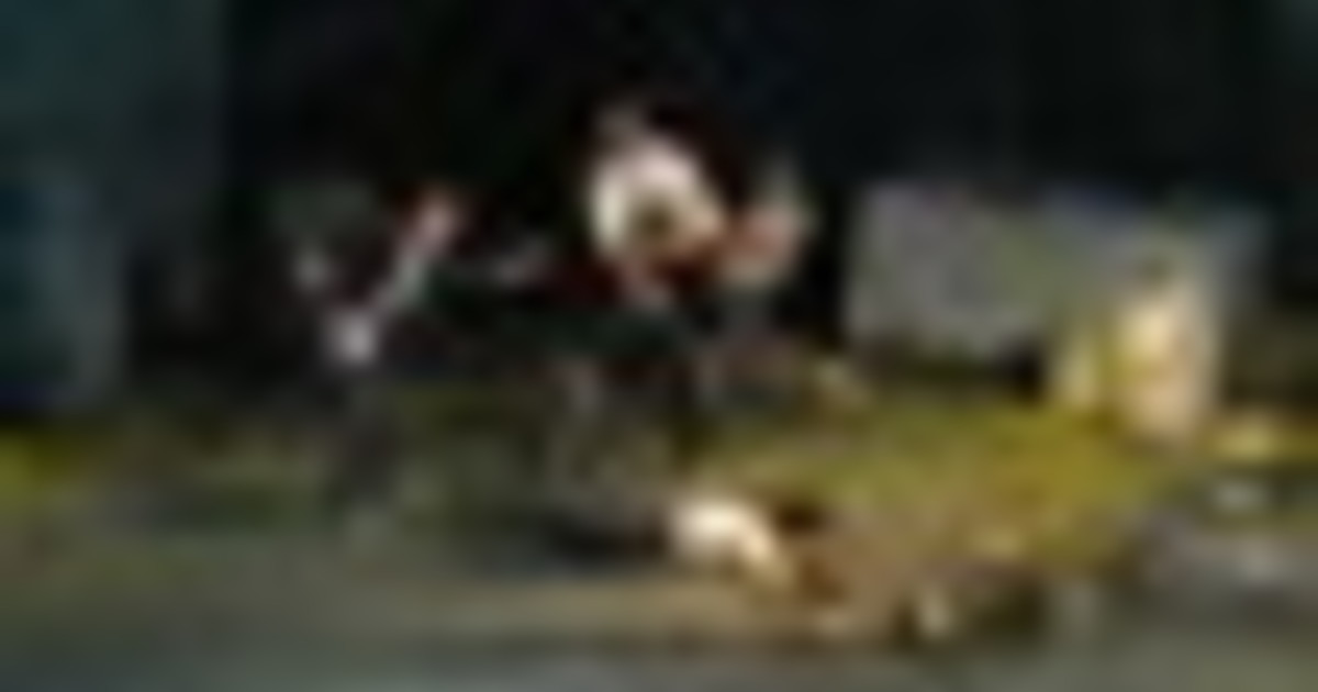 Storia e tempo sul confine dell'umano: le Chroniques di Peeping Tom