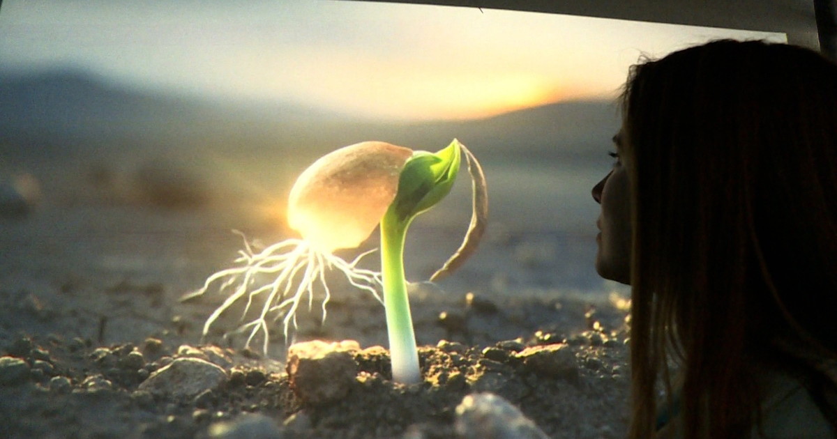 italia media art festival 2025 special screening alla rome art week