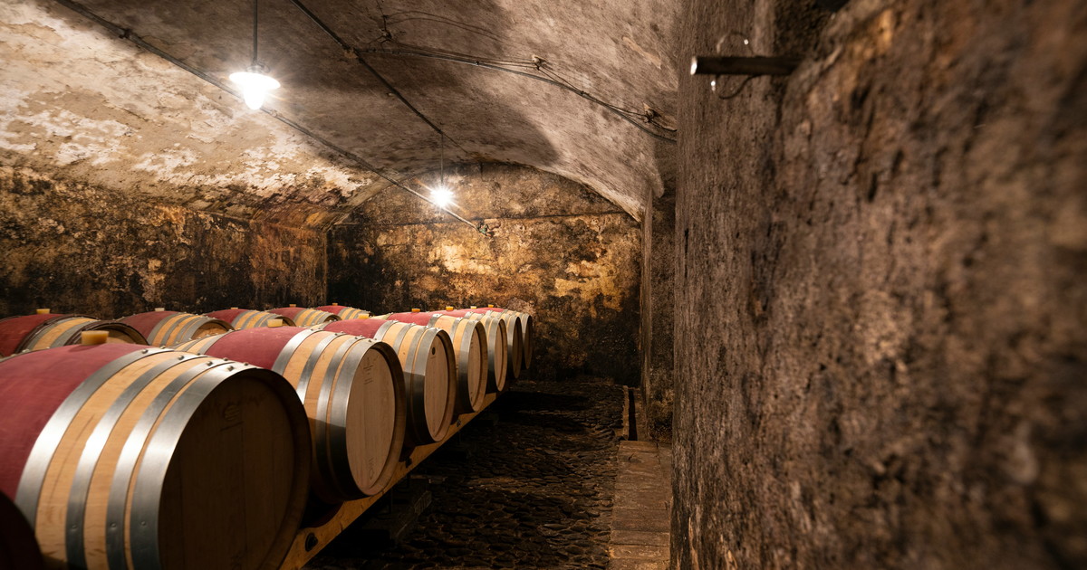 brunello di montalcino da esperimento locale a gloria mondiale del vino italiano