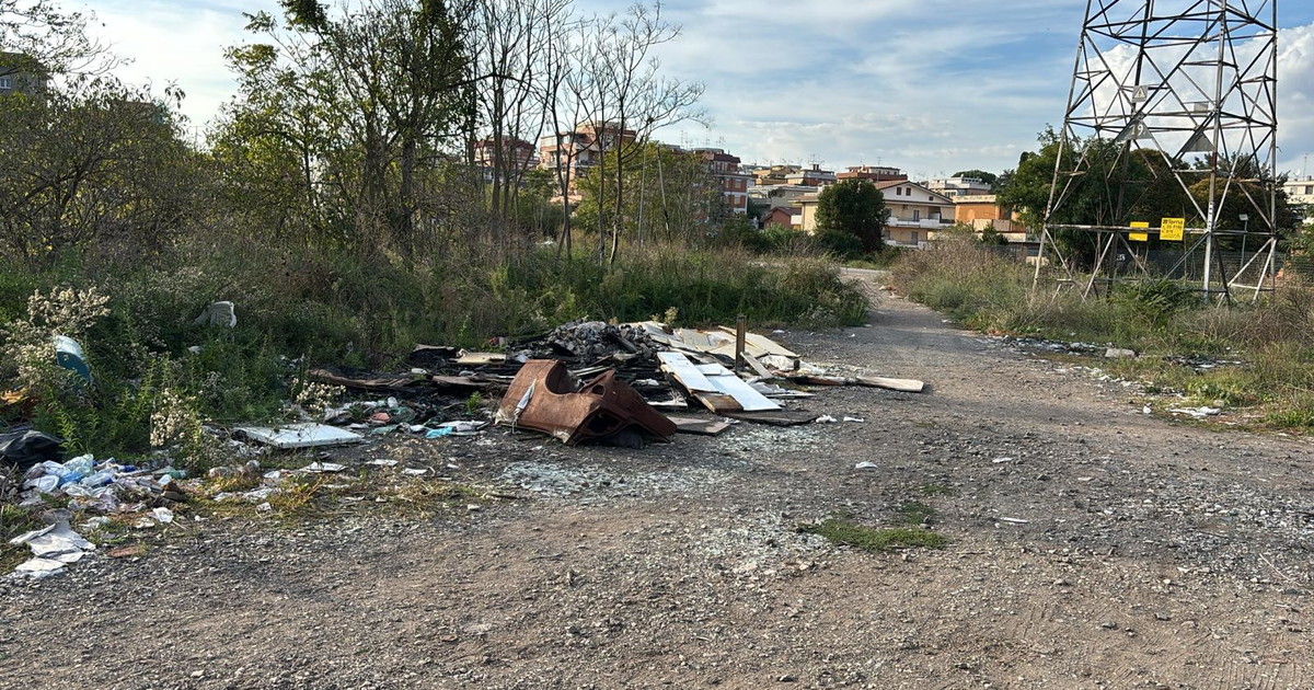 Carcasse di auto nel parco di Tor Tre Teste #lafotodeilettori
