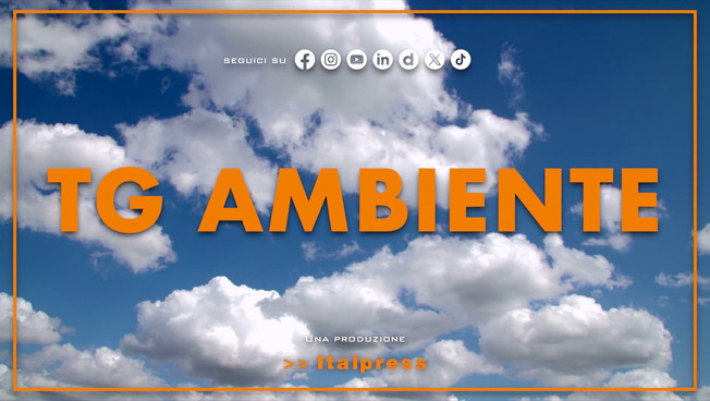 Tg Ambiente - 26/10/2025