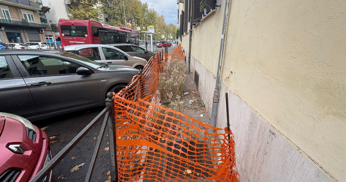 invasione di reti da cantiere nonostante gli ordini di gualtieri cosa succede