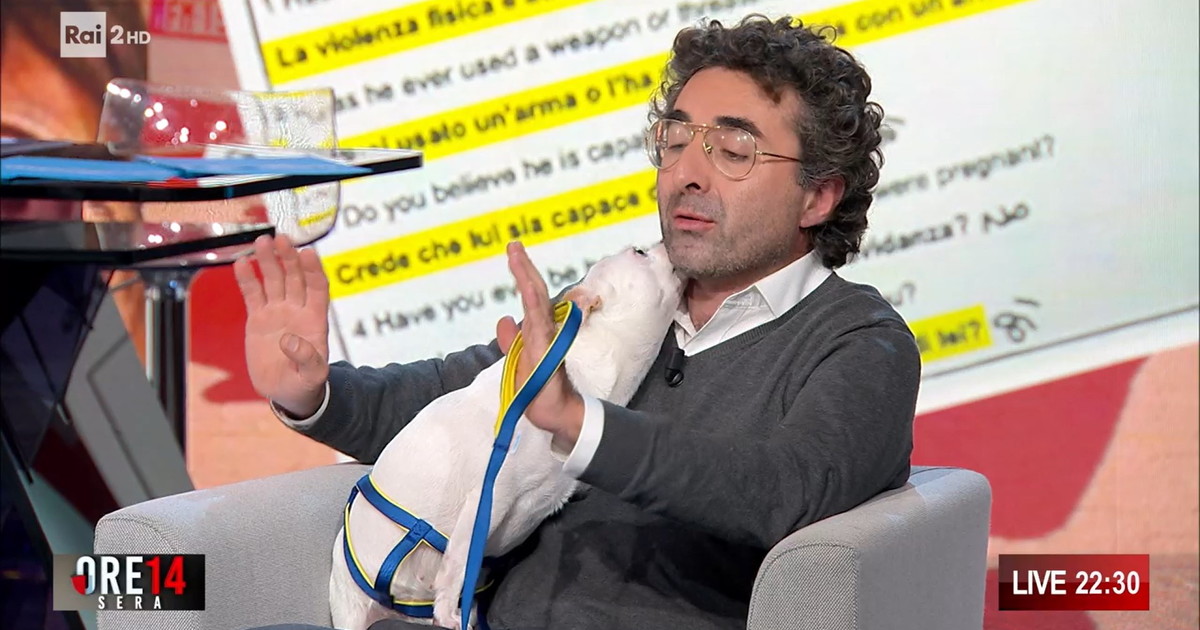denuncia accuse e liti come si chiude il caso della cagnolina di pamela genini
