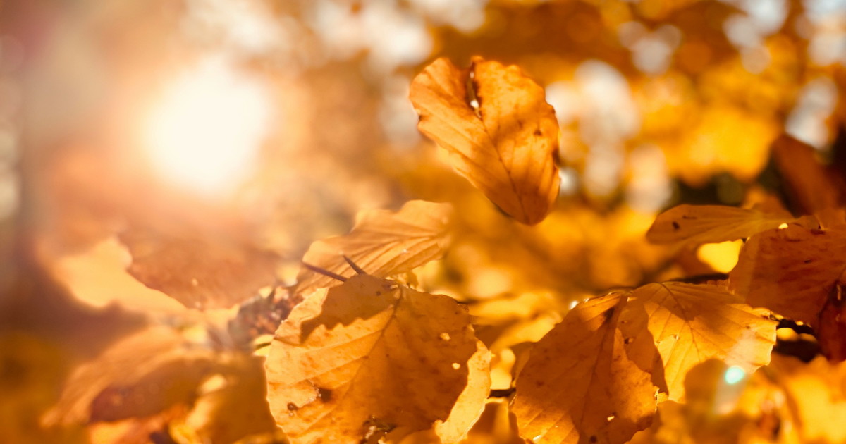 Meteo, dolcetto o scherzetto? Giuliacci: Temperature sopra la media ma...