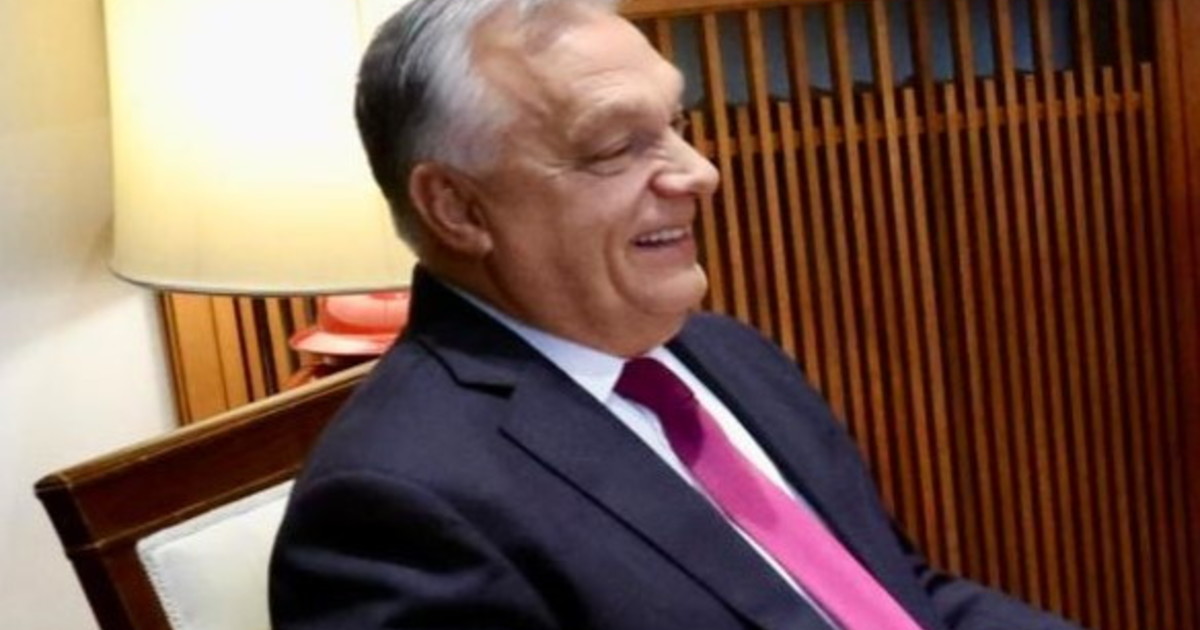 La Salis? "Dovrebbe stare in galera", Orban da Porro fa impazzire la sinistra