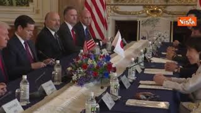 Premier Giappone dona a Trump 250 ciliegi e fuochi d Premier Giappone dona a Trump 250 ciliegi e fuochi d