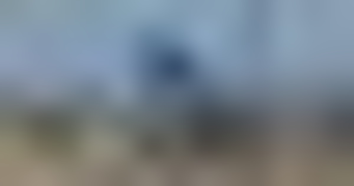 Trump in Corea del Sud, salta incontro con Kim ma vedrà Xi