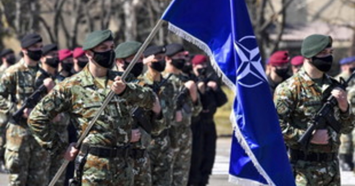 il ministro belga se la russia attacca bruxelles la nato distrugger224 mosca da Iltempo.it il ministro belga se la russia attacca bruxelles la nato distrugger224 mosca