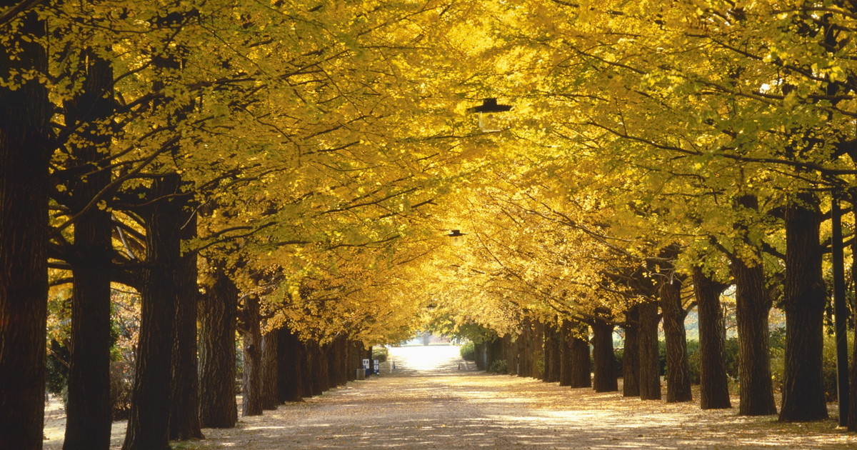 MeteoGiuliacci: "Temperature in rialzo". Quando arriva l MeteoGiuliacci: "Temperature in rialzo". Quando arriva l