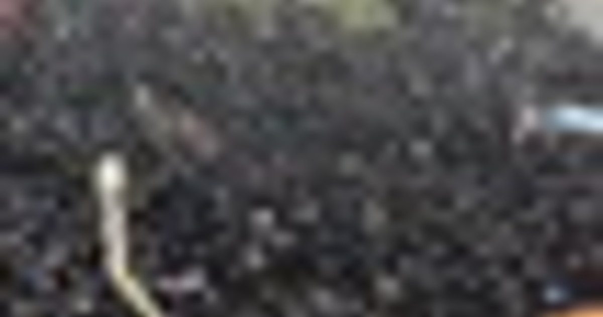 Ebrei ultraortodossi manifestano a Gerusalemme contro la coscrizione