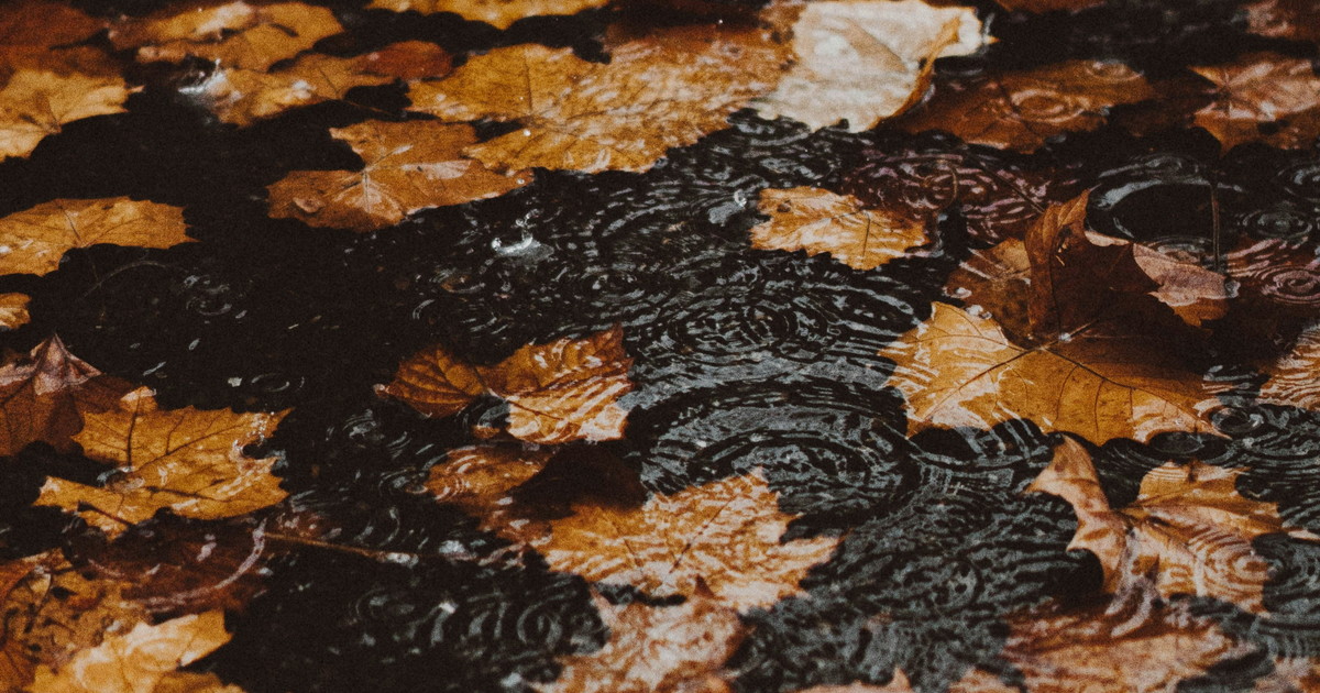 "Weekend con l "Weekend con l