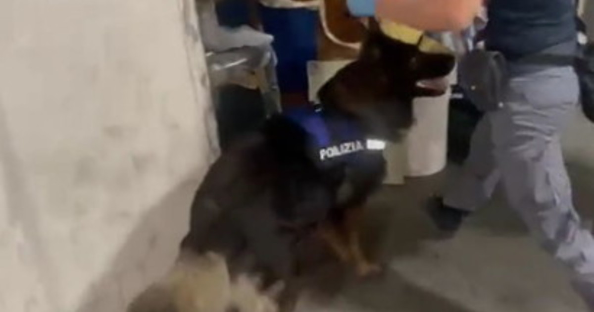 V Catania aretirali preprodajalca drog s 4,5 kg droge, skrite v garaži