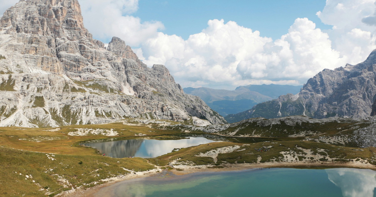 trentino dove il vino parla la lingua della montagna