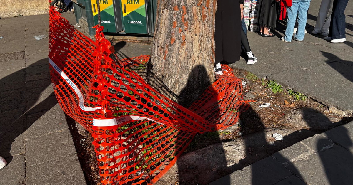 Tronco recintato ma non ci sono "lavori in corso" #lafotodeilettori