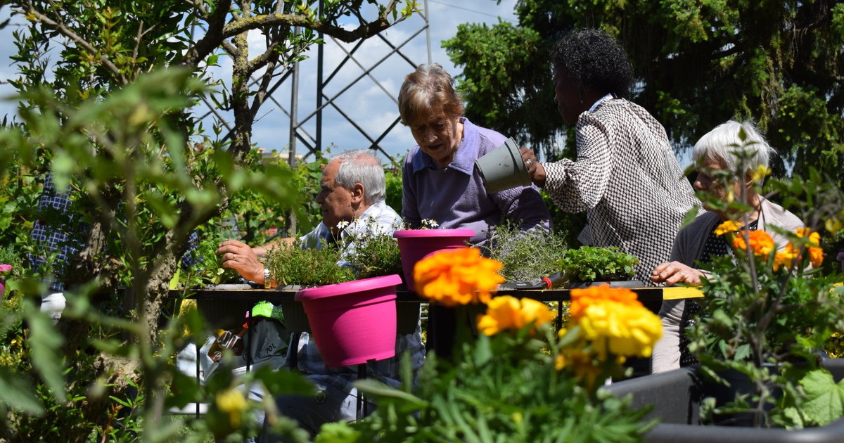 si pu242 contrastare l alzheimer con iniziative nuove e creative come il giardino sensoriale proposto dalla cooperativa medihospes da Iltempo.it si pu242 contrastare l alzheimer con iniziative nuove e creative come il giardino sensoriale proposto dalla cooperativa medihospes