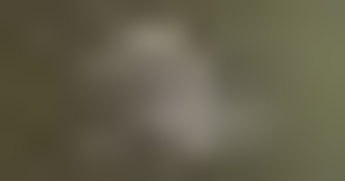 Giornata Nazionale Abiti Storici: identità, Made in Italy e storia