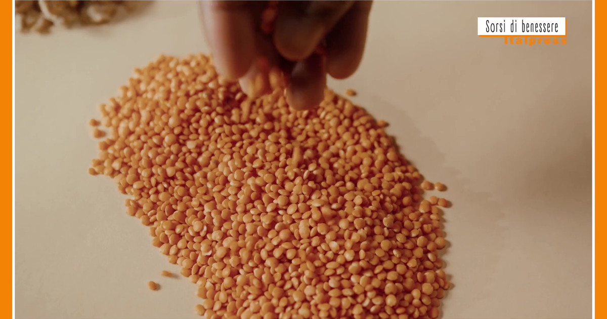 Predstavljena okusna jed iz leče in kostanja