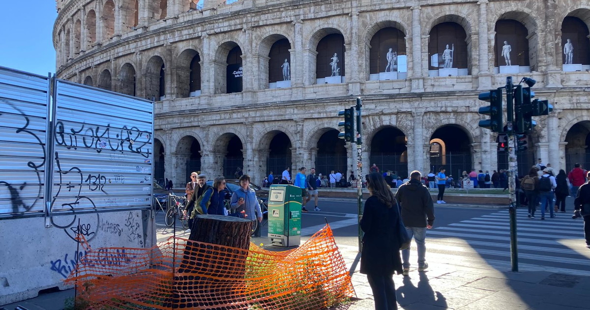 Quel tronco di pino abbandonato davanti al Colosseo #lafotodeilettori