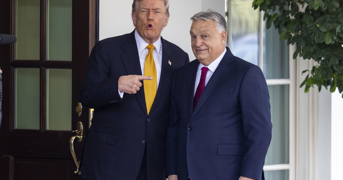 Ucraina, Trump: "Incontro con Putin vorrei si tenesse a Budapest" Ucraina, Trump: "Incontro con Putin vorrei si tenesse a Budapest"