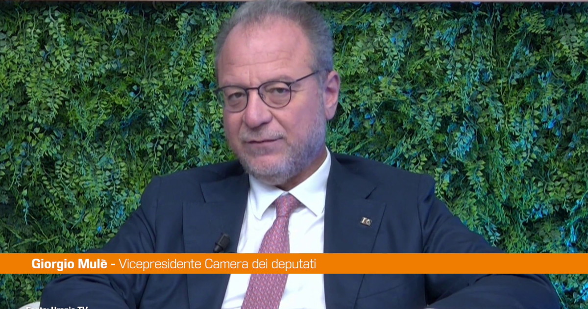 Malattie renali croniche, Mulè “Serve emendamento per finanziare screening"